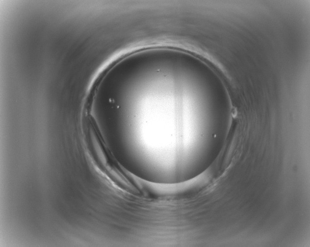 X0000066101510200603171343