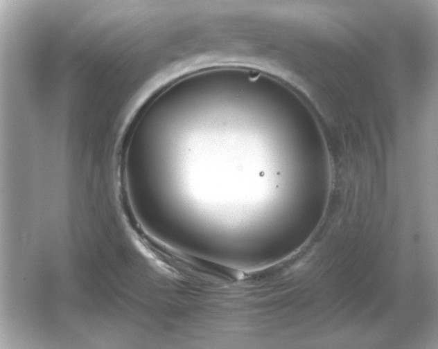 X0000066101511200603171343