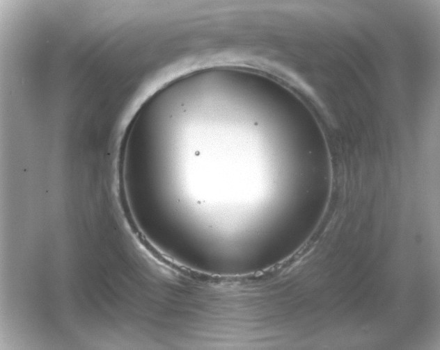 X0000066101512200603171343