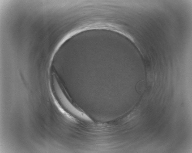 X0000066101515200603171343