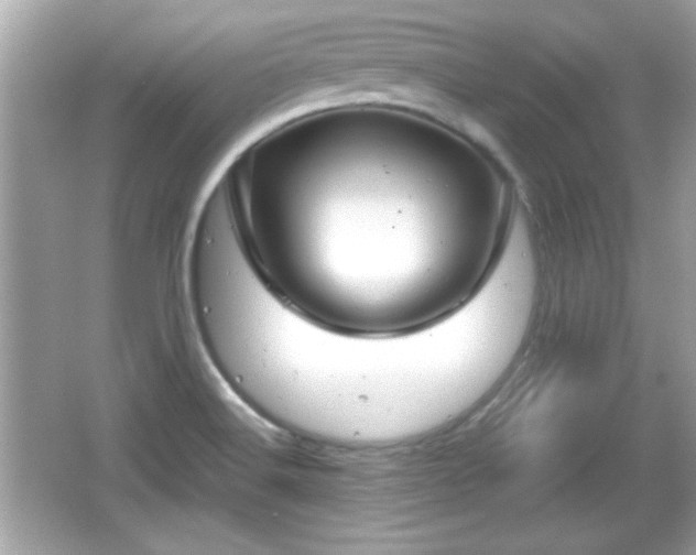 X0000066101516200603171343