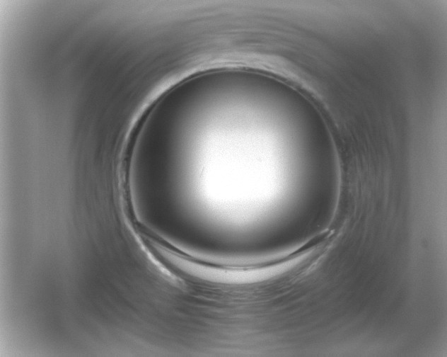 X0000066101517200603171343