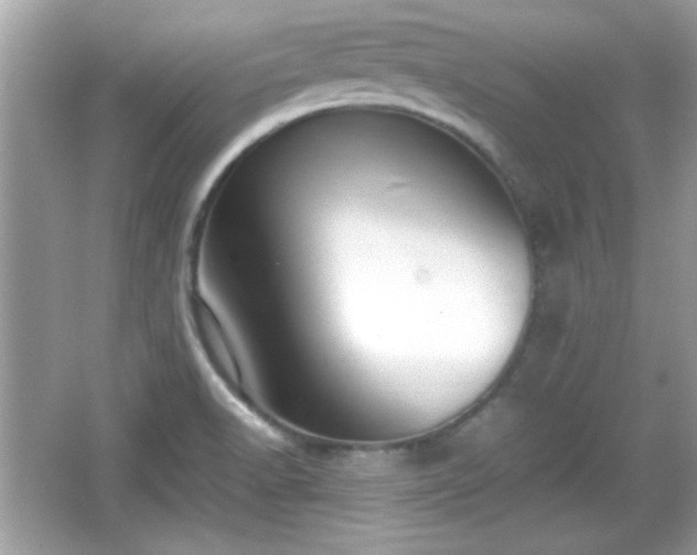 X0000066101518200603171343