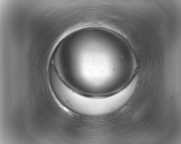 X0000066101519200603171343