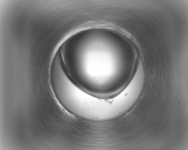 X0000066101520200603171343