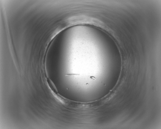 X0000066101521200603171343