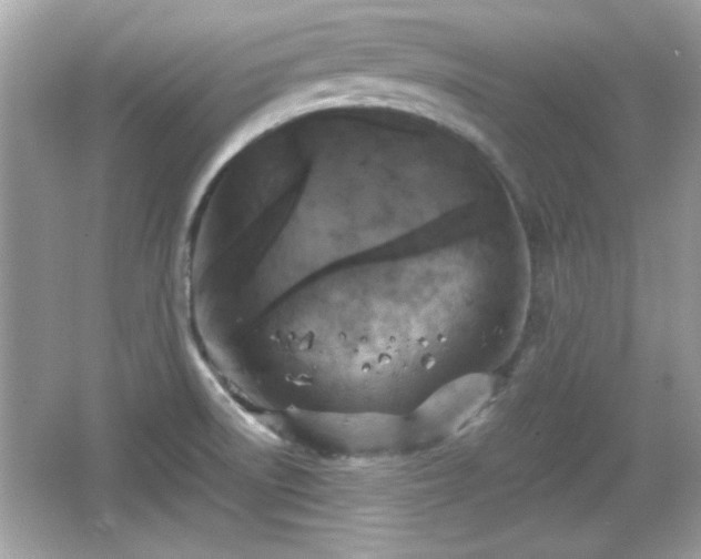 X0000066101522200603171343