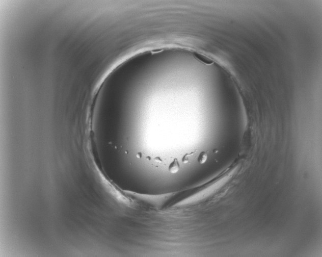 X0000066101524200603171343