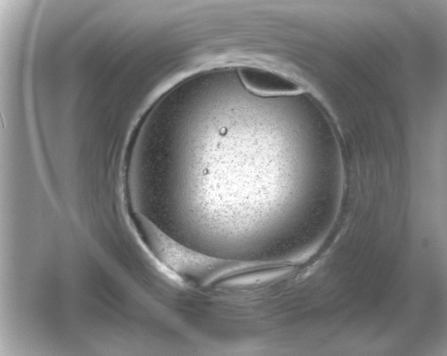 X0000066101525200603171343