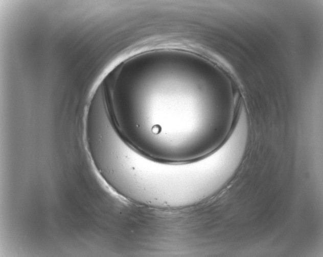 X0000066101528200603171344