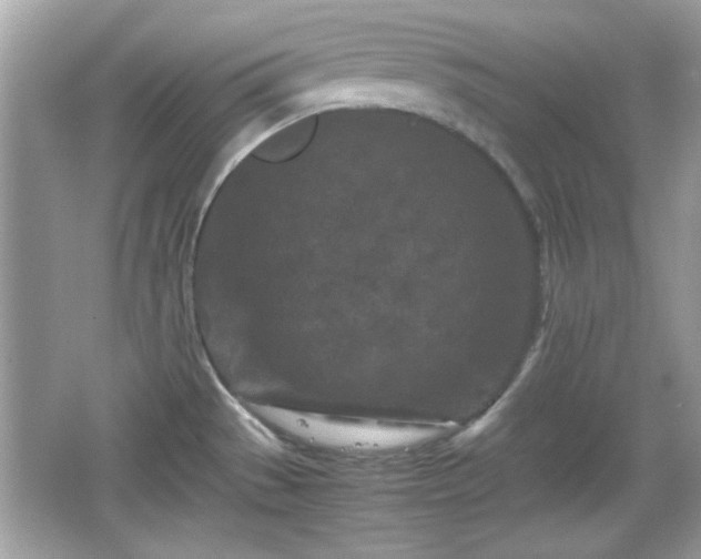 X0000066101529200603171344