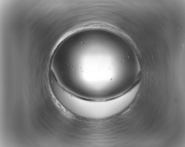 X0000066101530200603171344