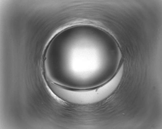 X0000066101531200603171344