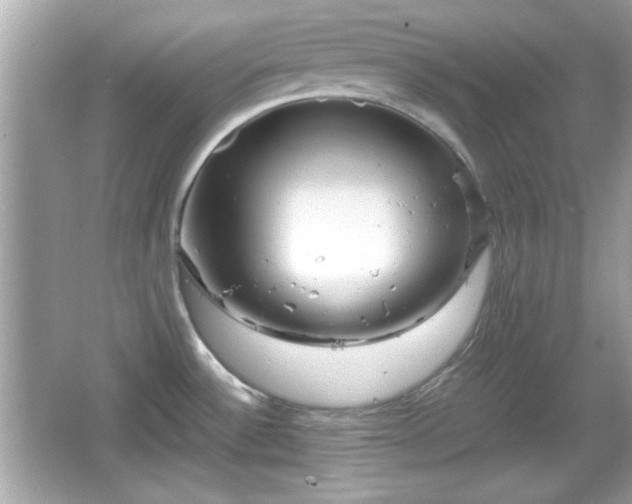 X0000066101532200603171344