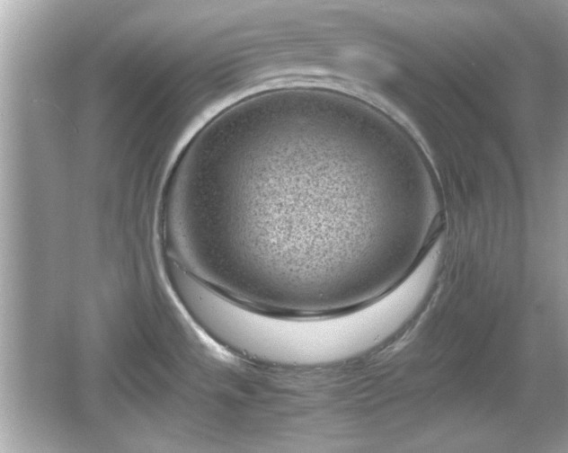 X0000066101533200603171344