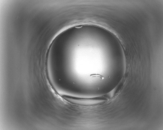 X0000066101534200603171344