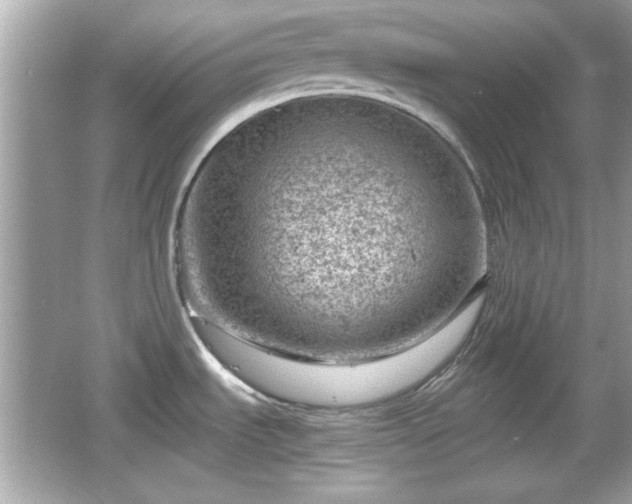 X0000066101535200603171344