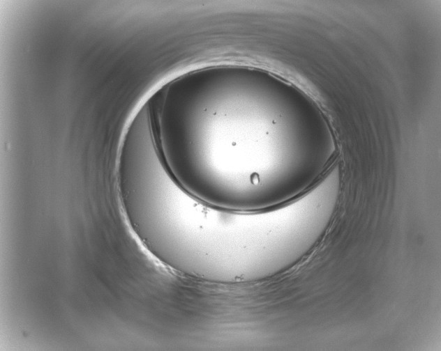 X0000066101536200603171344