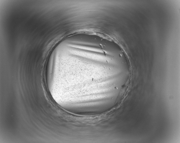 X0000066100001200603241530