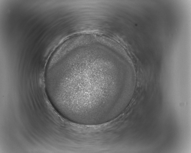 X0000066100002200603241530