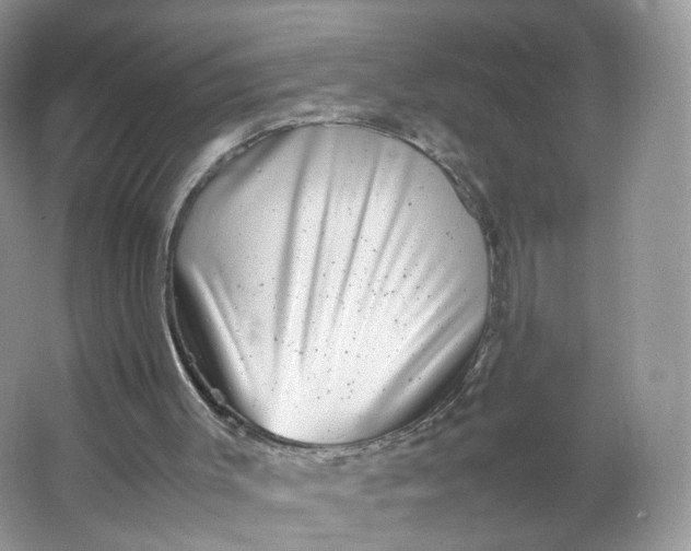 X0000066100003200603241530