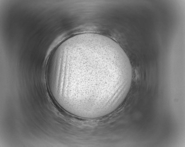 X0000066100004200603241530