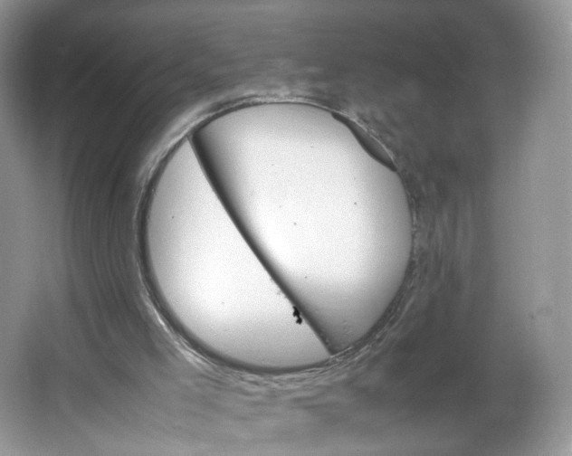 X0000066100005200603241530