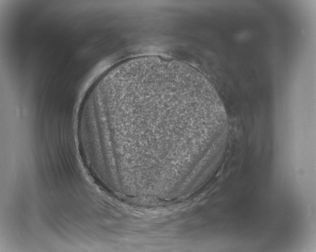 X0000066100006200603241530