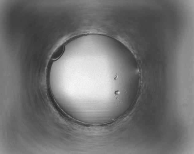 X0000066100008200603241530