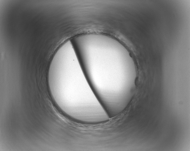 X0000066100009200603241530