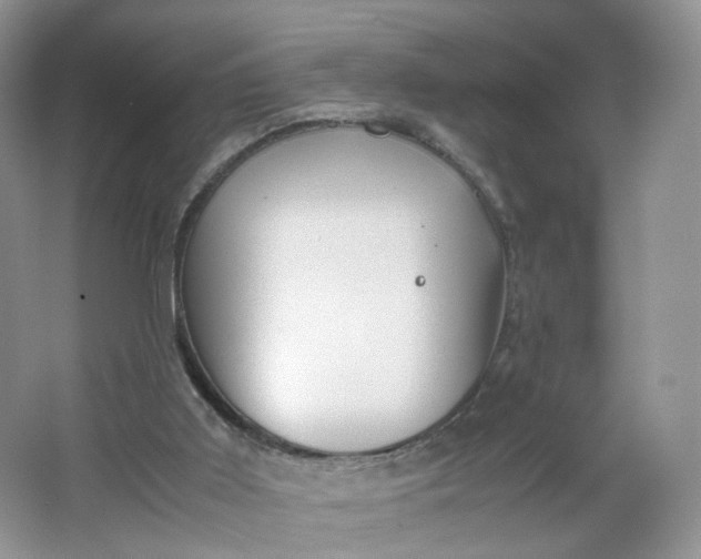 X0000066100011200603241530