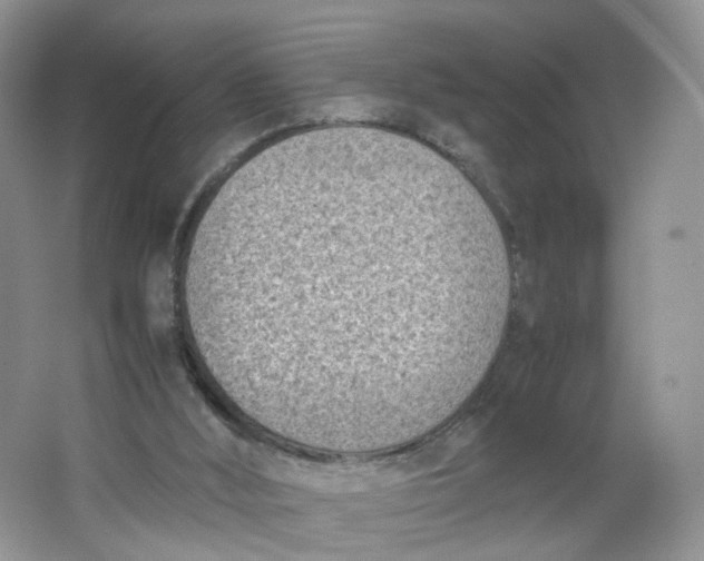 X0000066100012200603241530