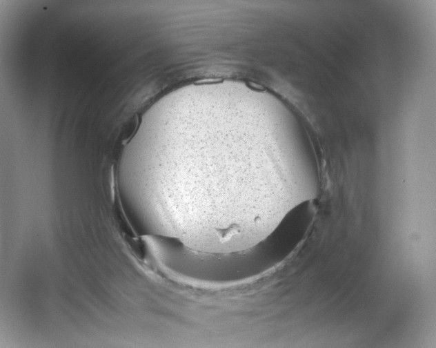 X0000066100013200603241530