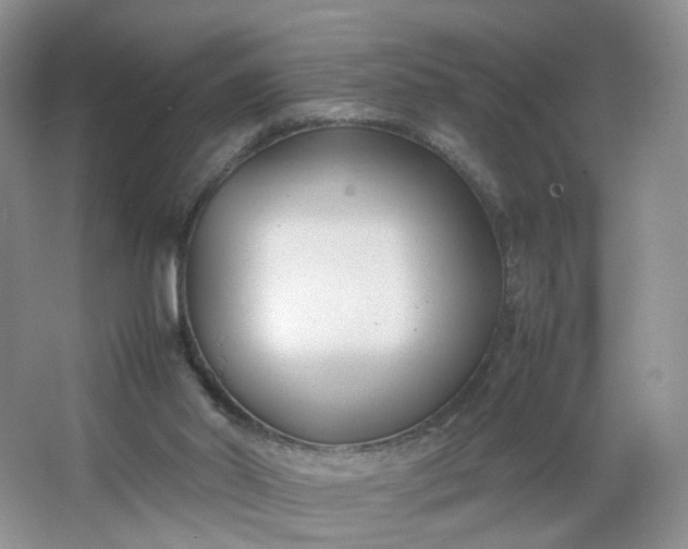 X0000066100014200603241530