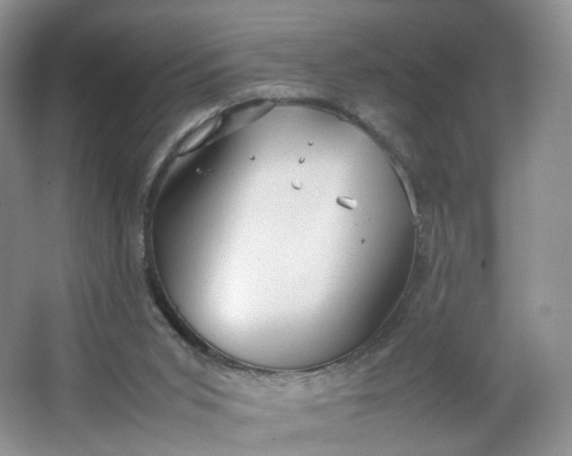 X0000066100015200603241530