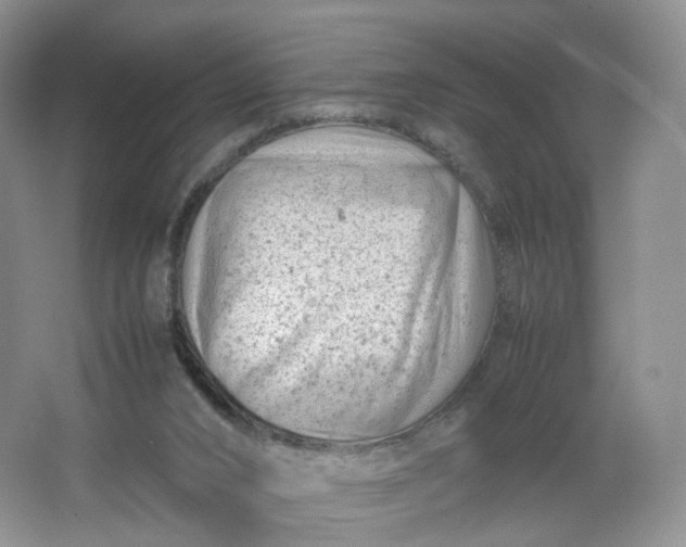 X0000066100016200603241530