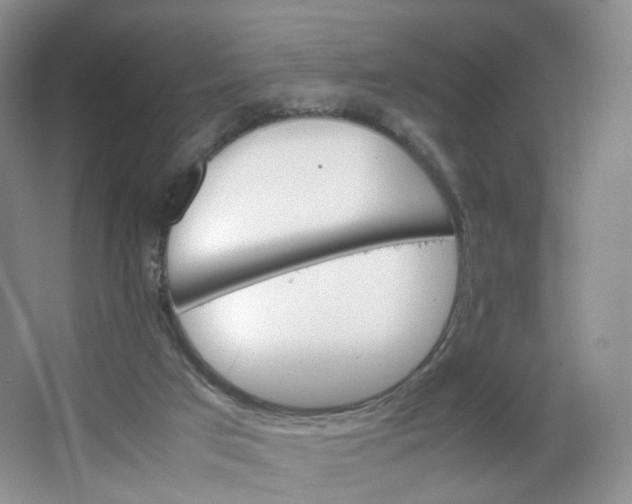 X0000066100017200603241530