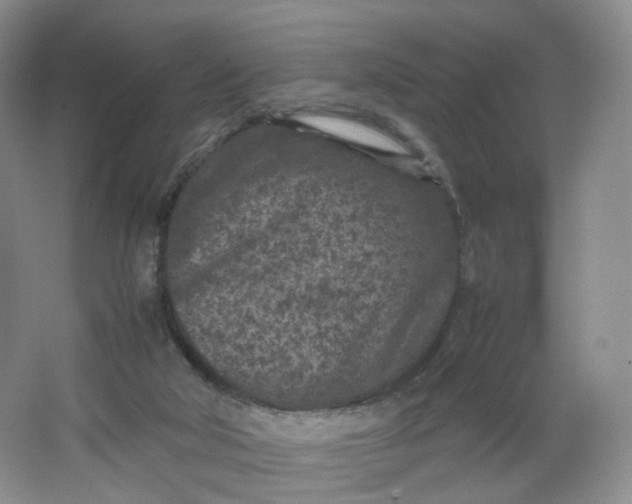 X0000066100018200603241530