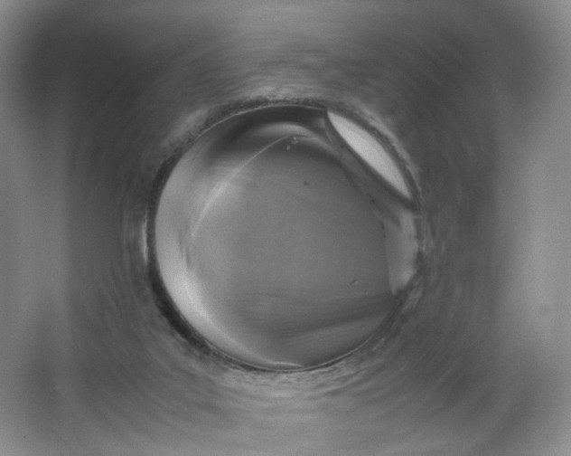 X0000066100019200603241530