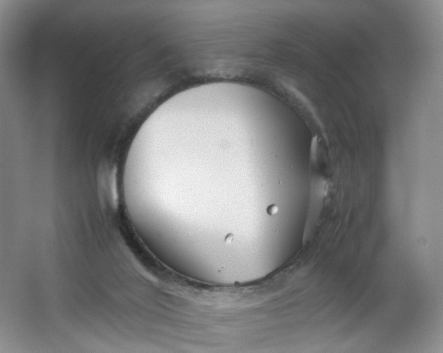 X0000066100020200603241530