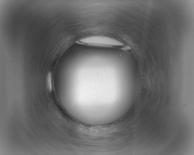 X0000066100022200603241530