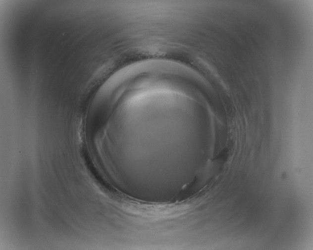 X0000066100023200603241530