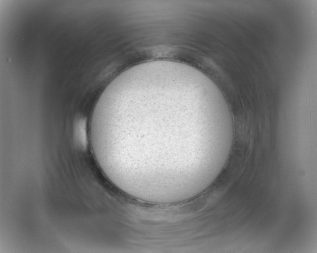 X0000066100028200603241530