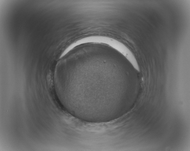 X0000066100029200603241530