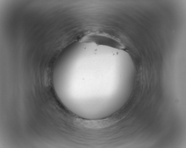 X0000066100030200603241530