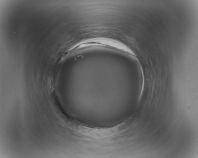 X0000066100031200603241530