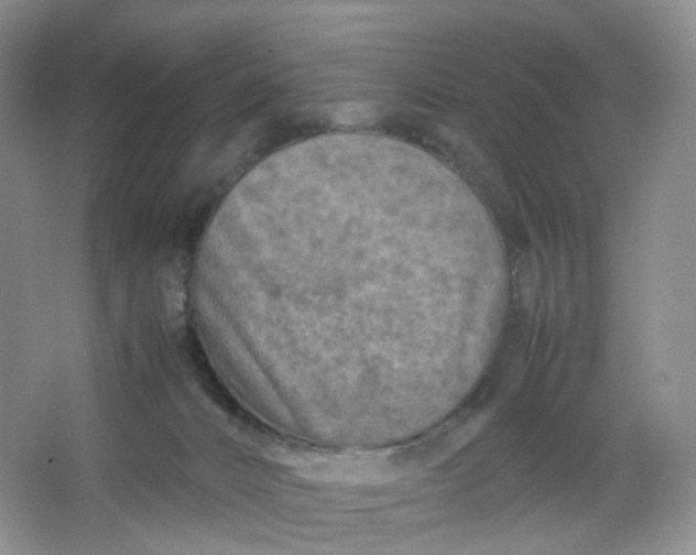 X0000066100032200603241530