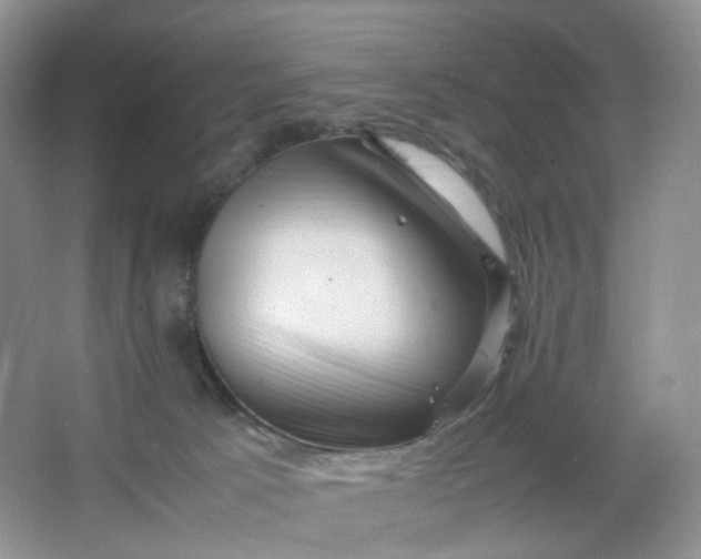 X0000066100033200603241530