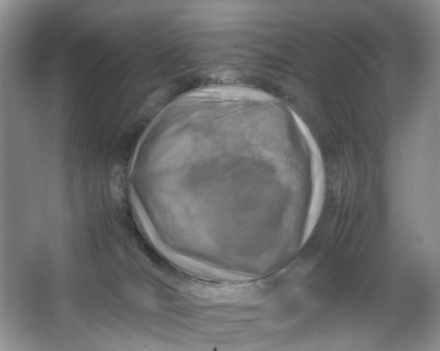 X0000066100036200603241530