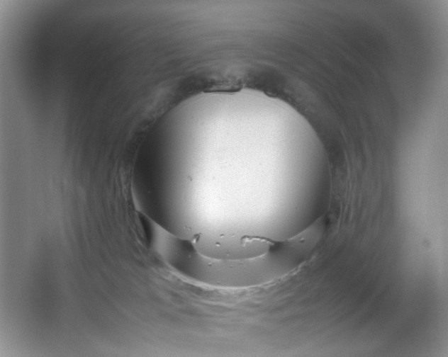 X0000066100037200603241530